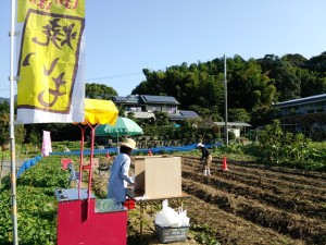焼いも、おでん、おにぎりをセッティング