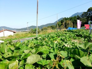 朝から本当に良い天気(^^)
