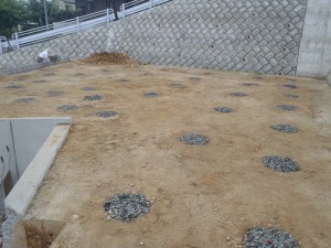 s-P5300964